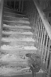 Samudra Villa: dilapidated staircase